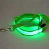 LED Dog Leash