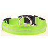 LED Dog Safety Collar