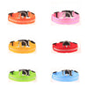 LED Dog Safety Collar